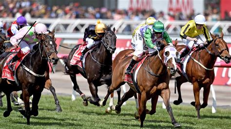 2015 melbourne cup